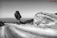 IMG_4816a