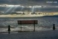 After the rain