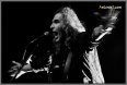 New Model Army